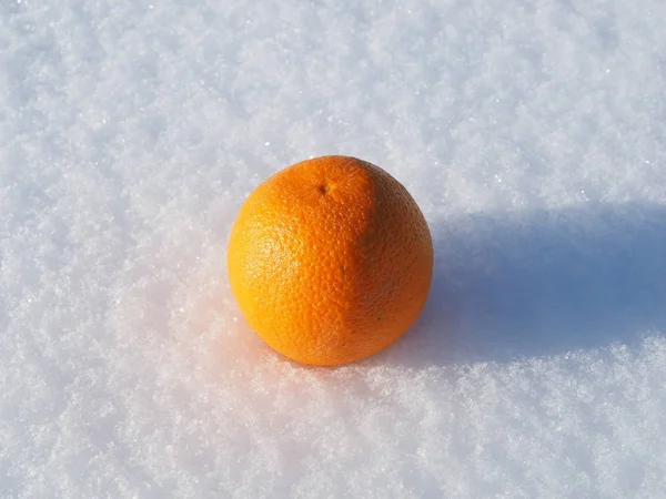 Orange i snön — Stockfoto