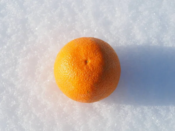 Orange i snön — Stockfoto