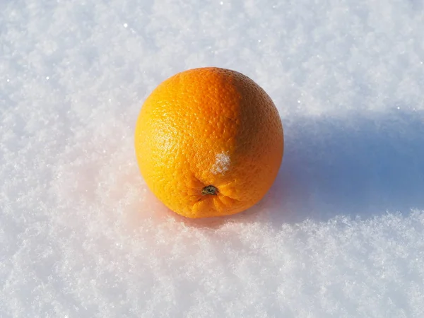 Naranja en la nieve —  Fotos de Stock