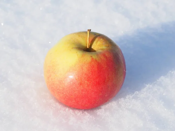 Apple Snow Winter — Stock Photo, Image
