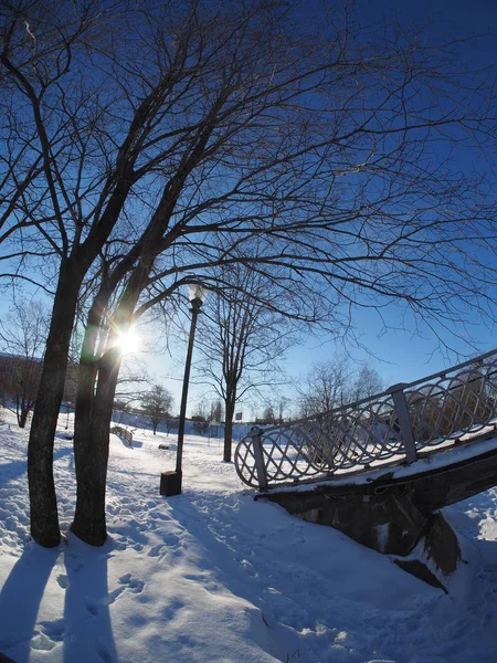 Ponte nel parco. inverno — Foto Stock