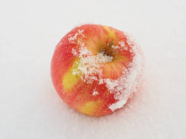 Apple on snow — Stock Photo, Image