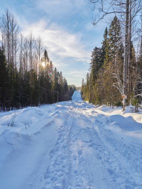 Ormandaki yol. kış