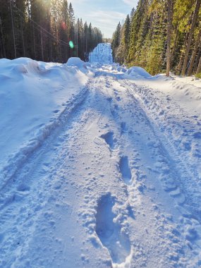 Ormandaki yol. kış