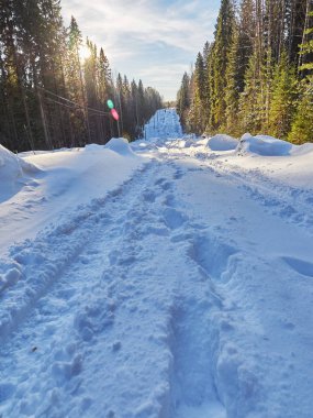 Ormandaki yol. kış