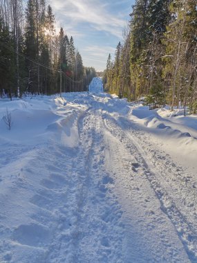 Ormandaki yol. kış