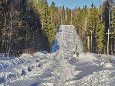 Ormandaki yol. kış