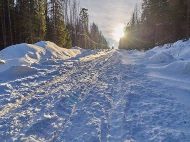 Ormandaki yol. kış
