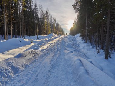 Ormandaki yol. kış