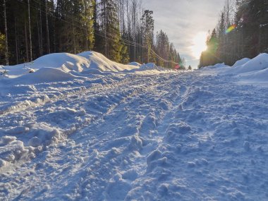 Ormandaki yol. kış