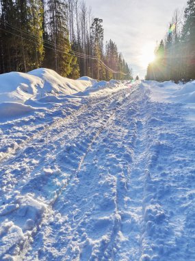 Ormandaki yol. kış