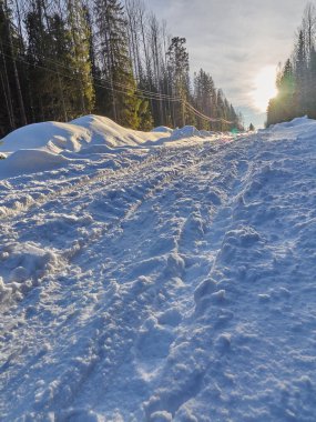Ormandaki yol. kış