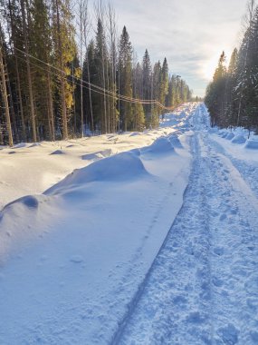 Ormandaki yol. kış