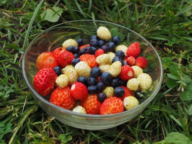 Çilek çimenlerin üzerinde