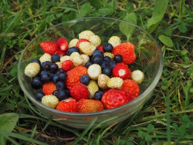 Çilek çimenlerin üzerinde