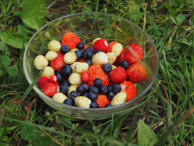 Çilek çimenlerin üzerinde