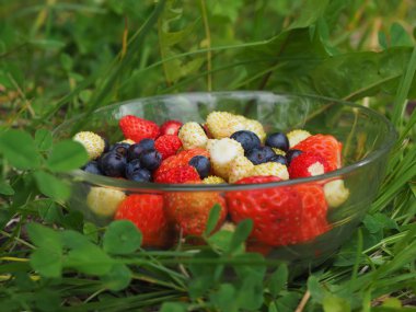 Çilek çimenlerin üzerinde