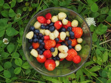 Çilek çimenlerin üzerinde