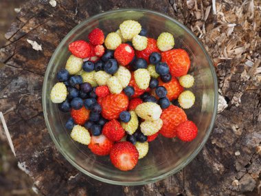 Çilek çimenlerin üzerinde