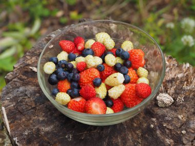 Çilek çimenlerin üzerinde