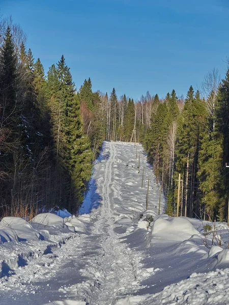 Weg in het bos. winter — Stockfoto