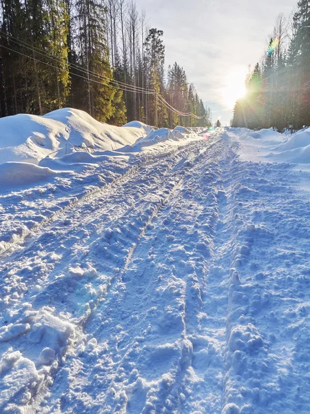 Ormandaki yol. kış