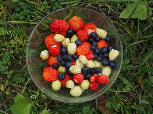 Çilek çimenlerin üzerinde