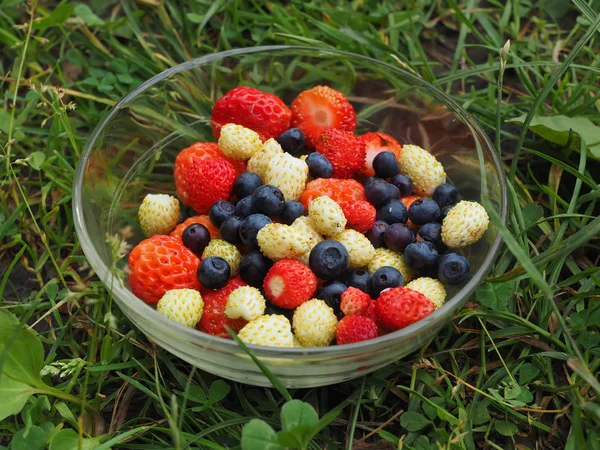 Çilek çimenlerin üzerinde