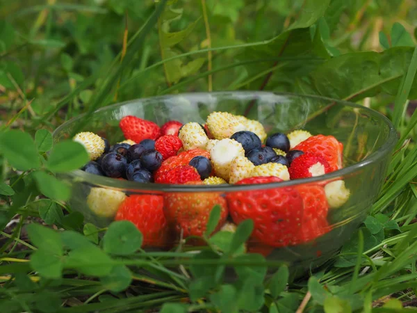 Çilek çimenlerin üzerinde