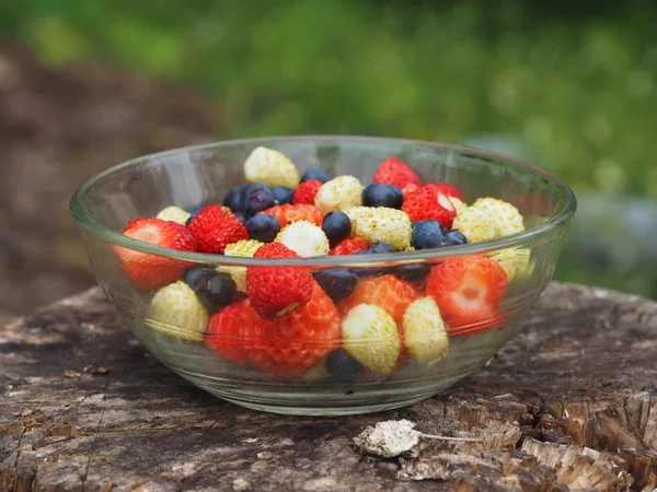 Berries on the grass — Stock Photo, Image