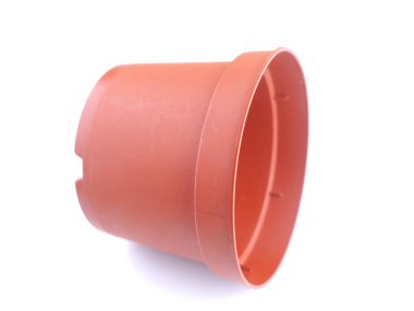 beyaz zemin üzerinde bir saksı