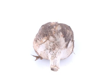 Hafif arkaplanda sarımsak