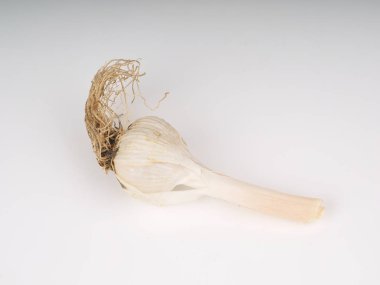 Hafif arkaplanda sarımsak