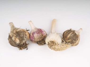 Hafif arkaplanda sarımsak