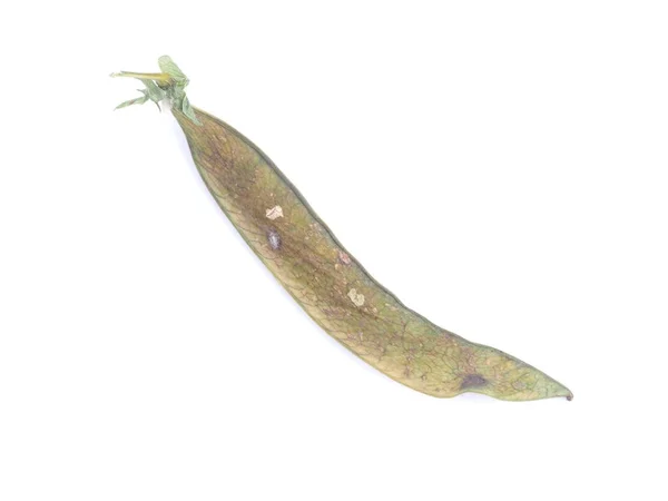 Dry peas on a white background — Stock Photo, Image