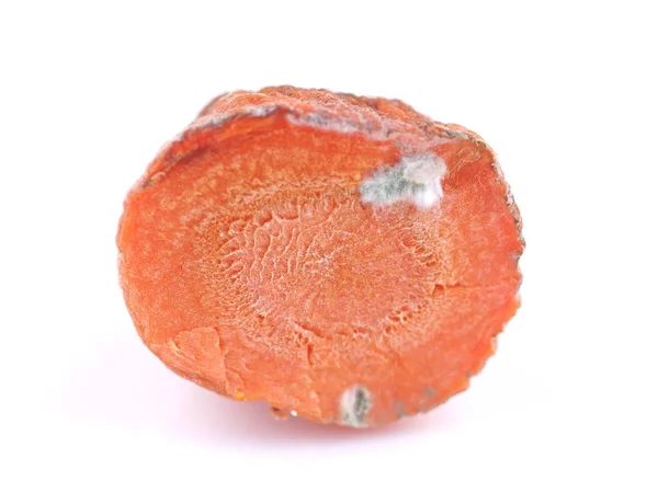 Fatia de cenouras secas no fundo branco — Fotografia de Stock