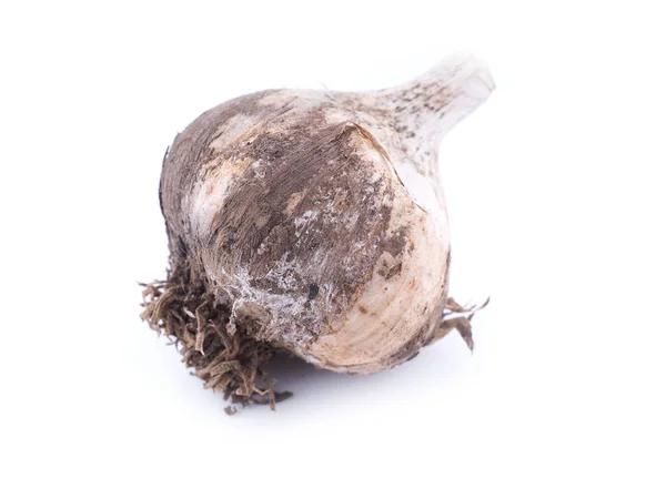 Knoblauch auf hellem Hintergrund — Stockfoto