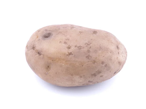 Aardappelen op een witte achtergrond — Stockfoto