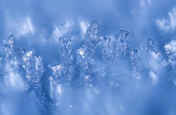 Cristales de nieve en el bosque. invierno —  Fotos de Stock