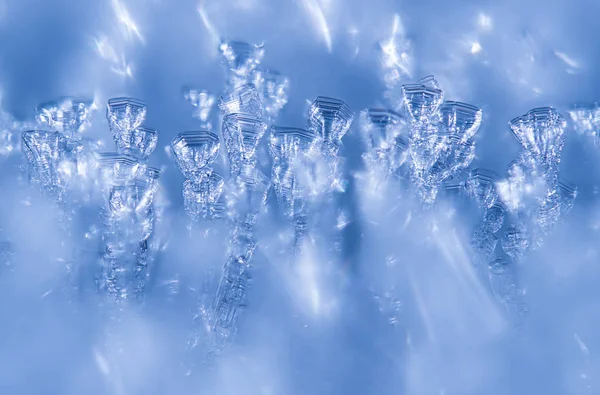 Cristales de nieve en el bosque. invierno —  Fotos de Stock