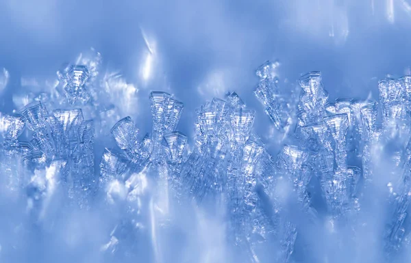 Kryształy śniegu, w lesie. zimowe — Zdjęcie stockowe