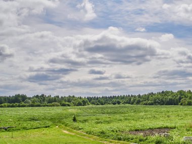 Ormanda yol