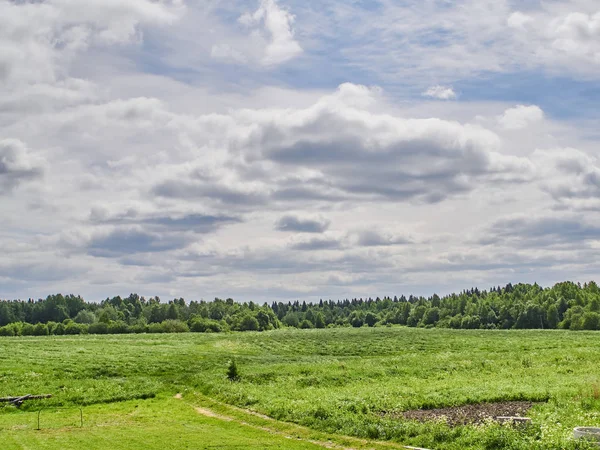 Ormanda Yol — Stok fotoğraf