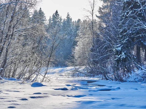 Río Bosque Invierno — Foto de Stock