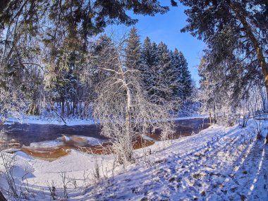 ormandaki nehir. Kış