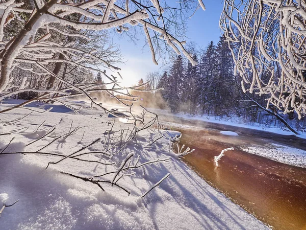 Río Bosque Invierno — Foto de Stock