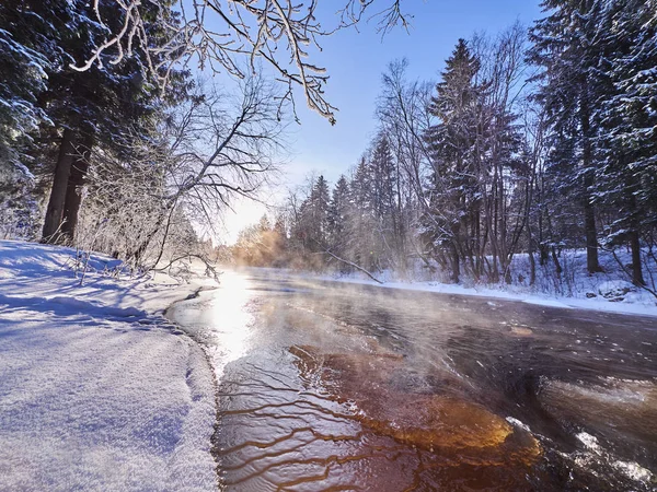 Rivière Dans Forêt Hiver — Photo