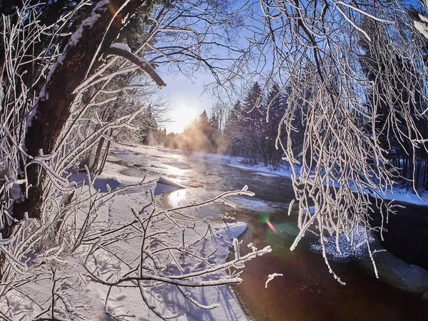 Fluss Wald Winter — Stockfoto