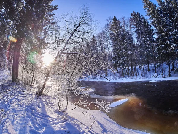 Rio Floresta Inverno — Fotografia de Stock