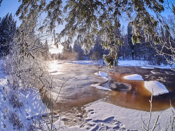 Fluss Wald Winter — Stockfoto